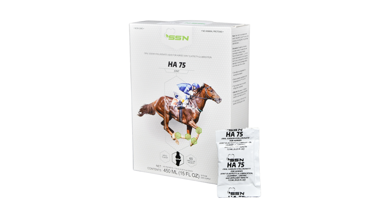 SSN HA-75 — Oral Sodium Hyaluronate Liquid for Horses’ Joint Elasticity and Lubrication
