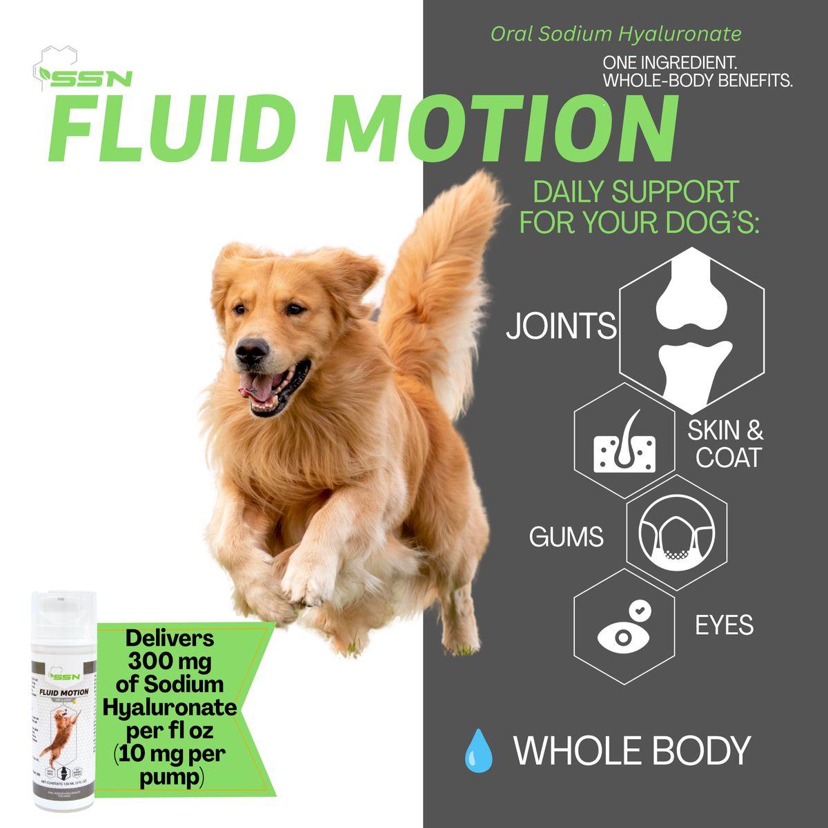 SSN Fluid Motion — Oral Hyaluronic Acid for Dogs