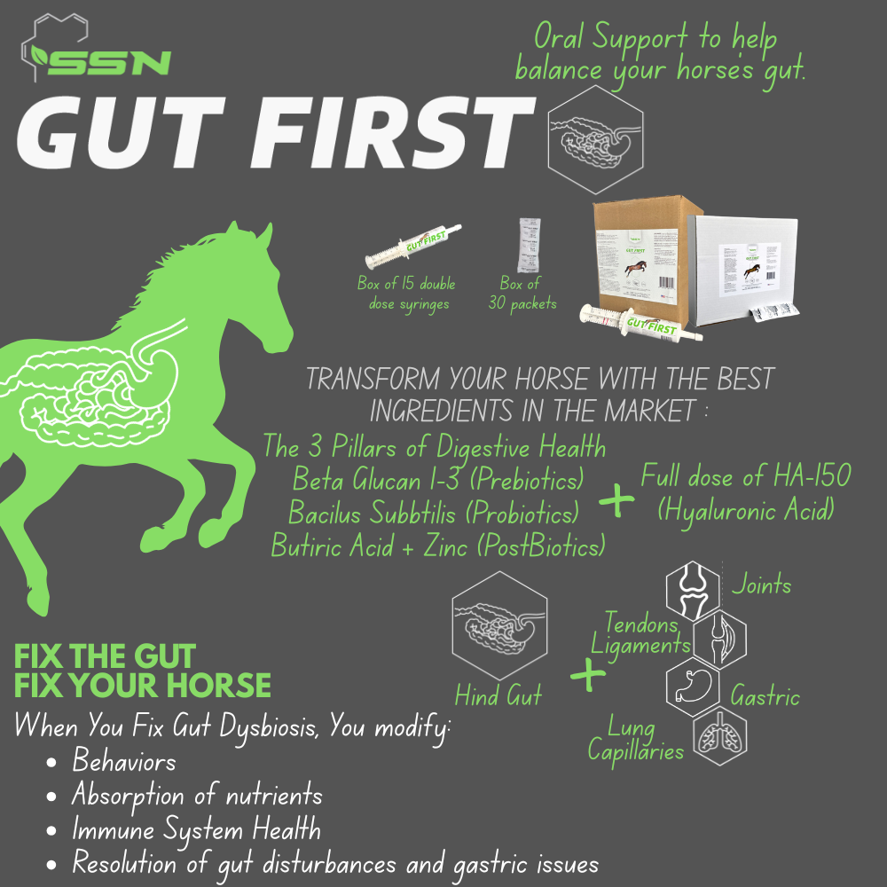 SSN Gut First — Total Digestive Support for Horses