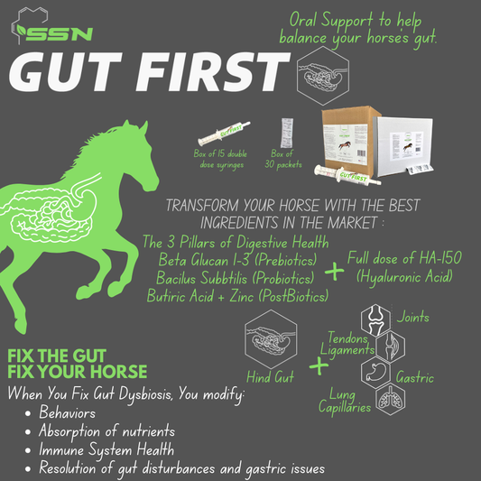 SSN Gut First — Total Digestive Support for Horses