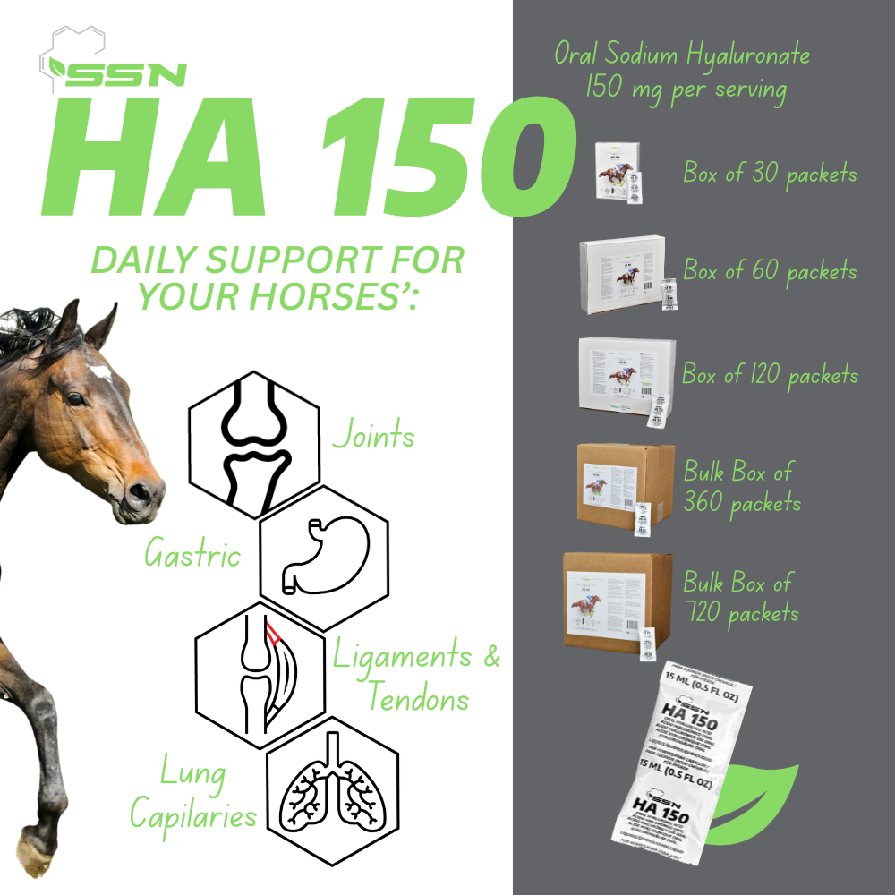 SSN HA-150 — Oral Sodium Hyaluronate for Horses