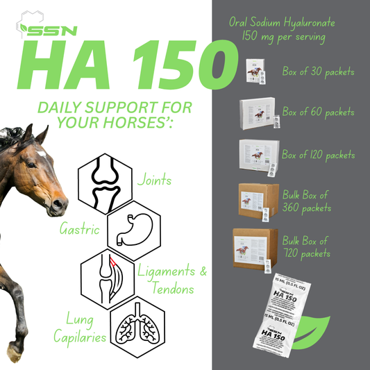 SSN HA-150 — Oral Sodium Hyaluronate for Horses