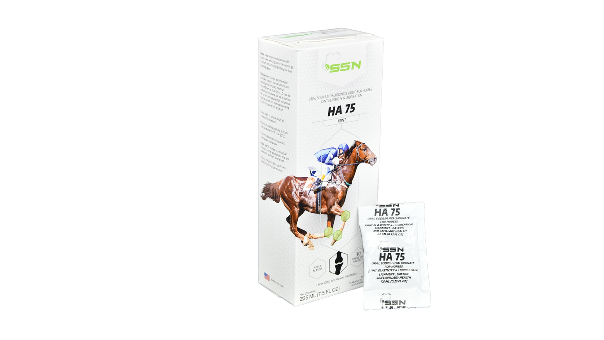 SSN HA-75 — Oral Sodium Hyaluronate Liquid for Horses’ Joint Elasticity and Lubrication