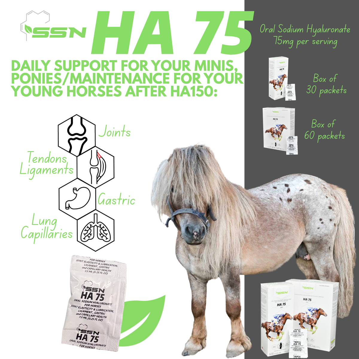SSN HA-75 — Oral Sodium Hyaluronate Liquid for Horses’ Joint Elasticity and Lubrication