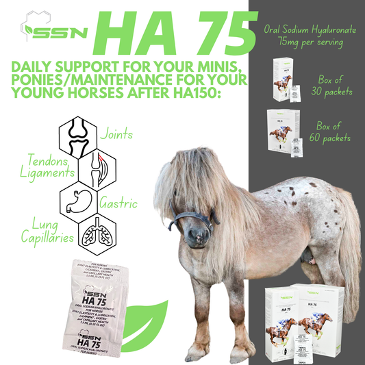 SSN HA-75 — Oral Sodium Hyaluronate Liquid for Horses’ Joint Elasticity and Lubrication