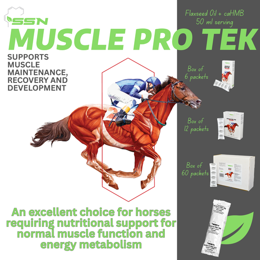 SSN Muscle Pro Tek — Muscle Support for Horses