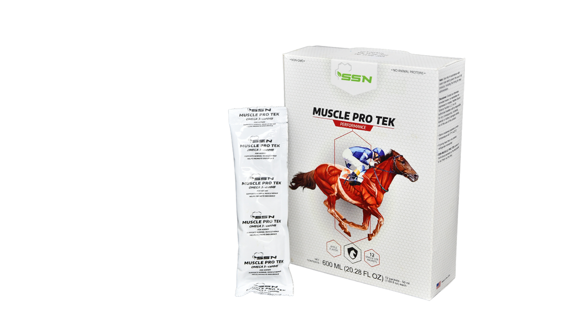 SSN Muscle Pro Tek — Muscle Support for Horses
