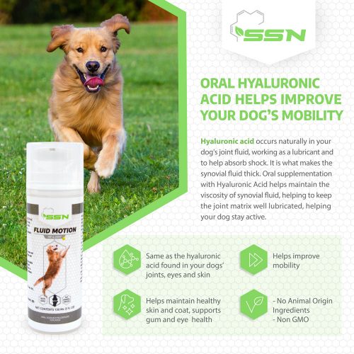 Fluid Motion for Dogs