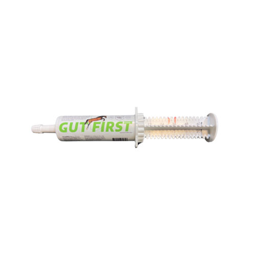 GUT FIRST SYRINGE